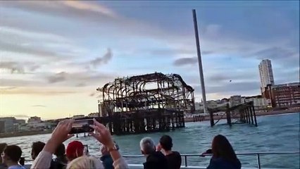 Sussex Dolphin Project's sunset boat cruise