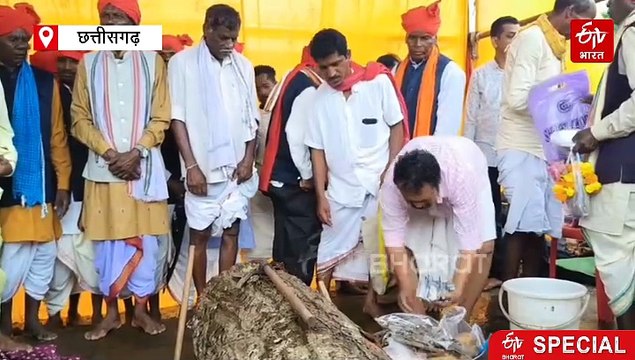 बस्तर दशहरा की पहली रस्म पूरी, पाठ जात्रा में रथ के लिए हुई लकड़ी की पूजा