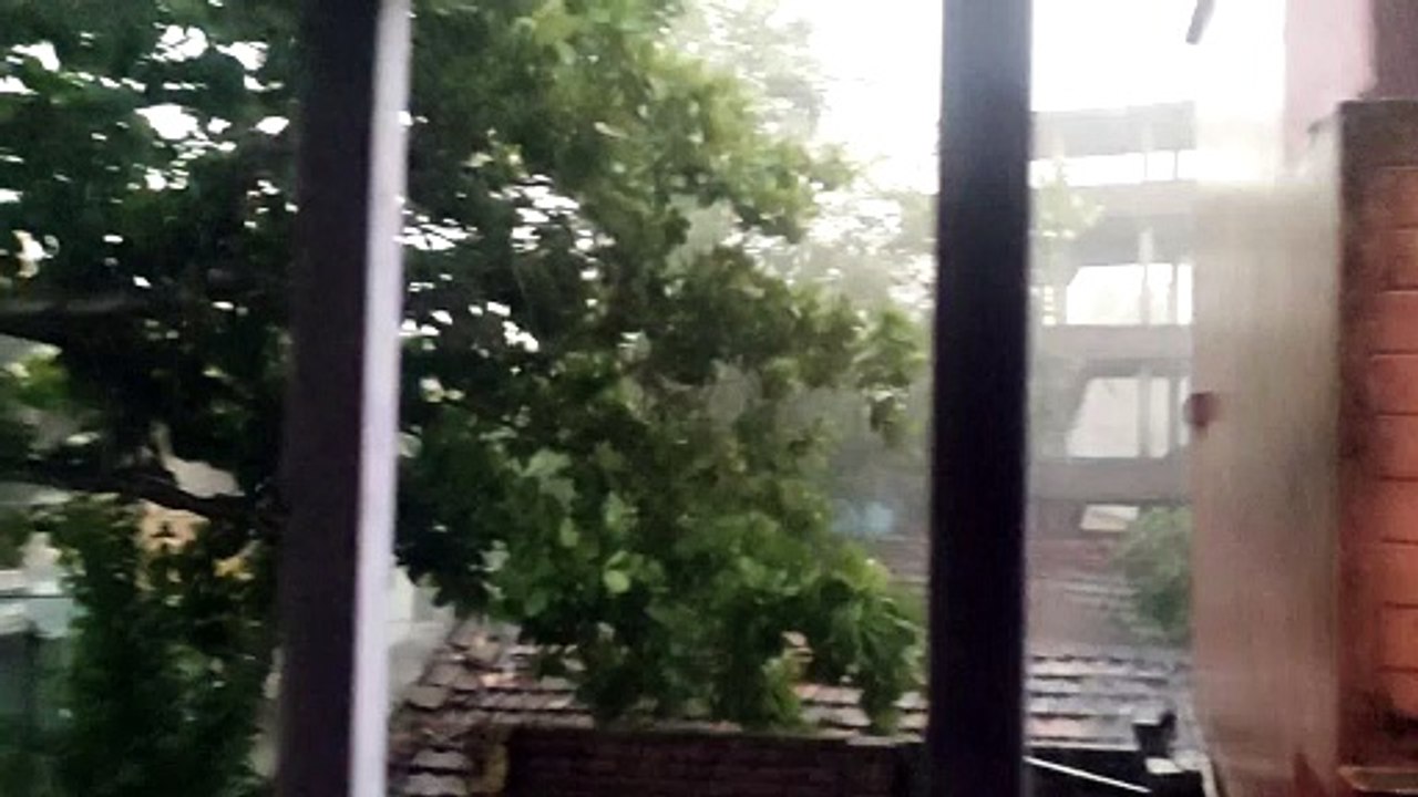 rain_1