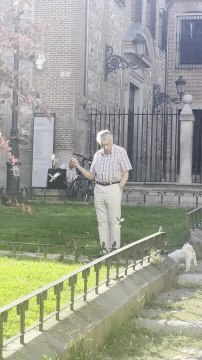 Man Has Birds Fly Around and Sit On His Hand