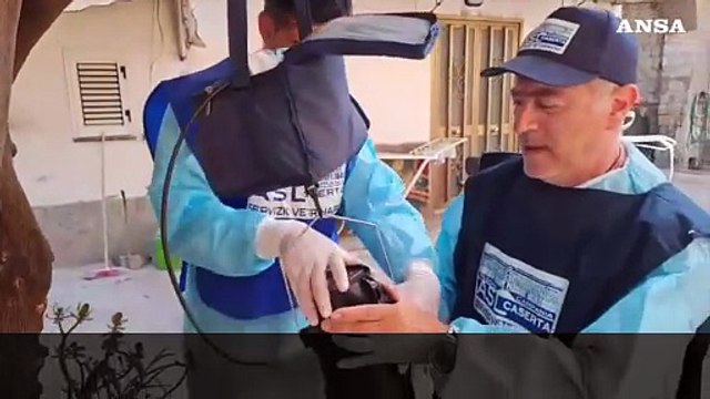 West Nile, trappole per monitorare le zanzare nel Casertano