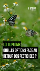 GENERATION GREEN - Loi Duplomb : quelles options pour lutter contre les pesticides ?