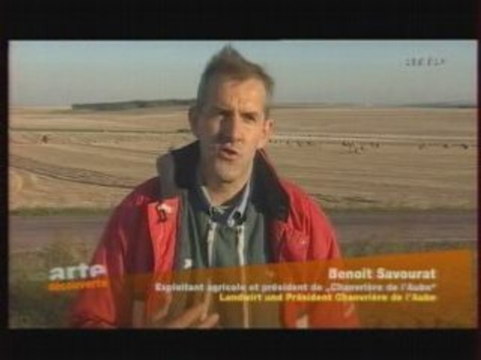 Le chanvre - Une plante aux multiples facettes (Partie 3-3)