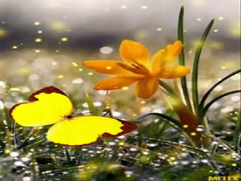 ڿ♥ MAŁA MIŁOŚĆ..ڿ♥ (480p)