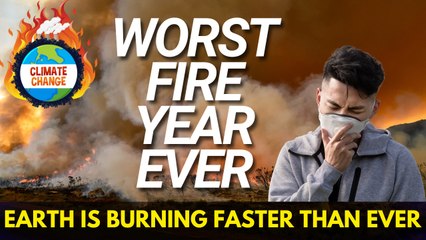 2024 Was the Worst Fire Year in History — Here's What That Means