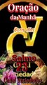 oração do salmo 23