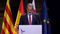 El Rey destaca a la Fundación Princesa de Girona por 