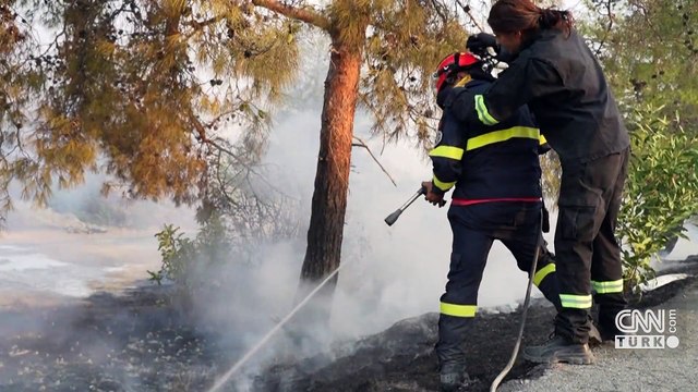 Kıbrıs Rum Kesimi'nde orman yangını