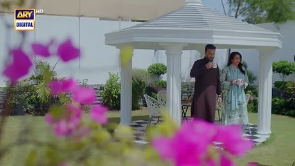 Pal Do Pal Episode 4 - 24 July 2025  - ARY Digital