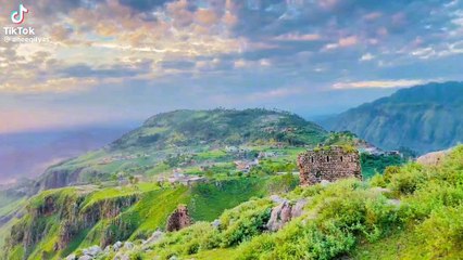 Sunlight Through the Trees