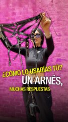 ¿Cómo lo usarías tú? Un arnés, muchas respuestas. #DíaBDSM