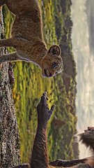 Make the visual count 👌💯