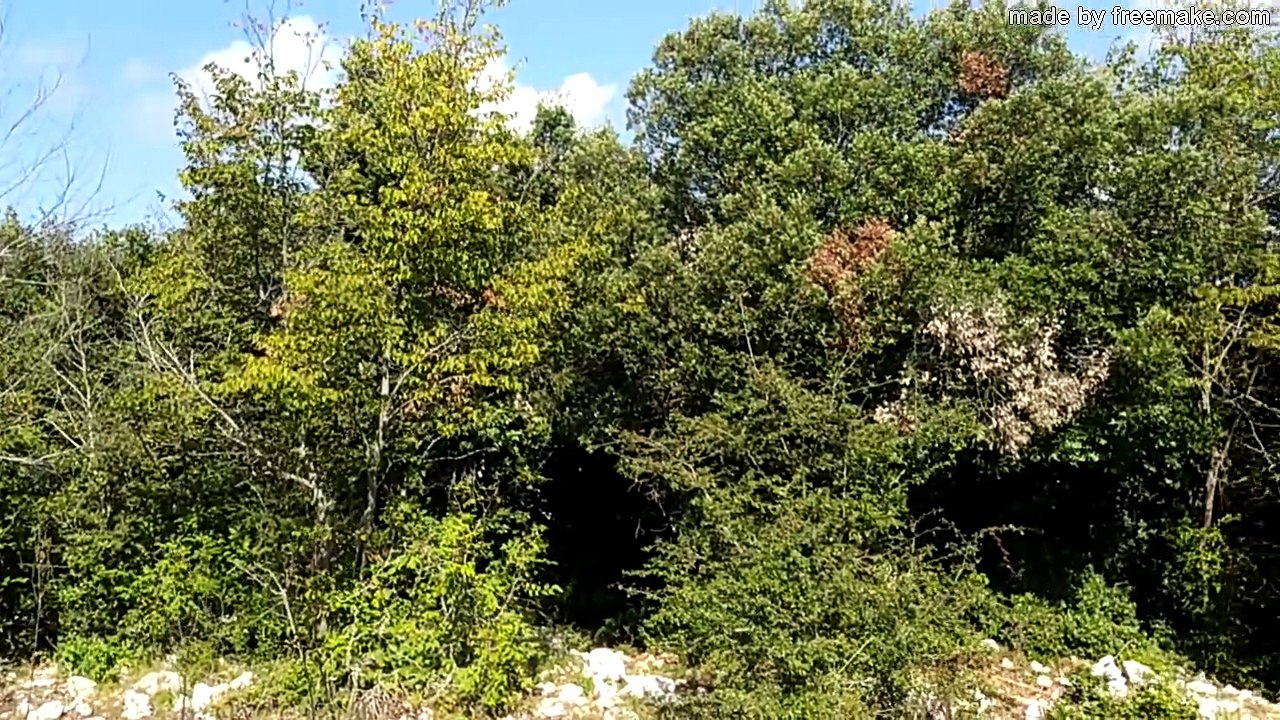 DOM.6-8-23: MONTE ARRESTINO E LA CATTEDRALE DA CORI SUI M.LEPINI