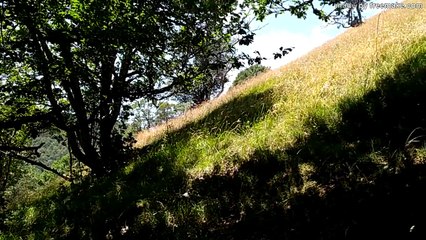 SAB.22/7/23: COLLE TAVOLA E CIMA IL MONTE DA VICINO LEONESSA.