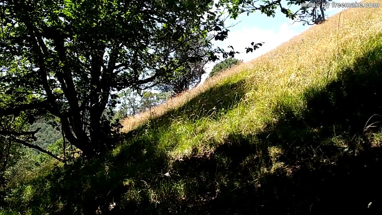 SAB.22/7/23: COLLE TAVOLA E CIMA IL MONTE DA VICINO LEONESSA.