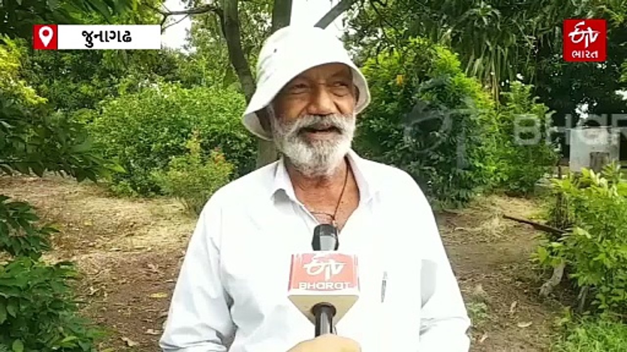 ખેડૂત ઉકાભાઇના ખેતરમાં નવ મુખી બીલીપત્રનું વૃક્ષ, શિવ ભક્તો માટે આસ્થાનું કેન્દ્ર બન્યું