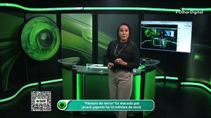 Pássaro do terror foi atacado por jacaré gigante há 12 milhões de anos