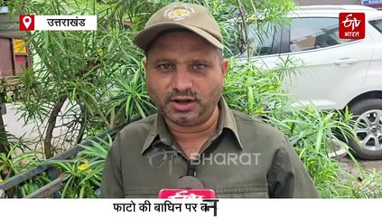 उम्मीदों की नई कहानी, फाटो की नकटी बाघिन की जिंदगी अब दिखेगी बड़े पर्दे पर, मां-बच्चों का पुनर्मिलन कर देगा भावुक