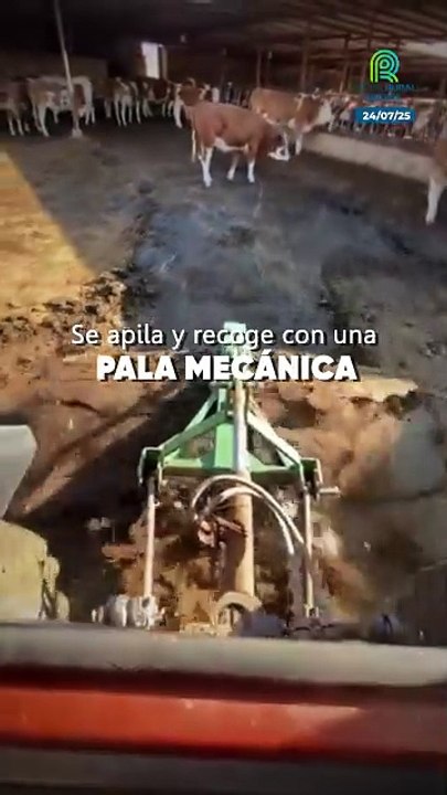 La granja del futuro: recicla desechos del ganado para la agricultura
