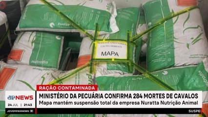 Ministério da Pecuária confirma 284 mortes de cavalos