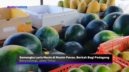Semangka Laris Manis di Musim Panas: Berkah Manis Bagi Pedagang