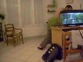 Activité Nocture by Tib