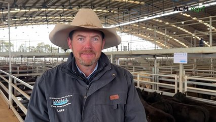 Forecast rain and spring optimism lift Forbes store market more than $100/head