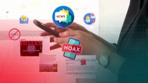 Hoax Seekor Gorilla Menggendong Bayi | NEWS OR HOAX