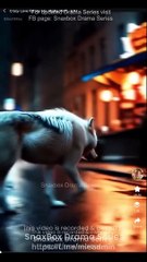 Crazy Love for My Ms. Alpha Professor (2025) – Full Movie Free Streaming 🎬