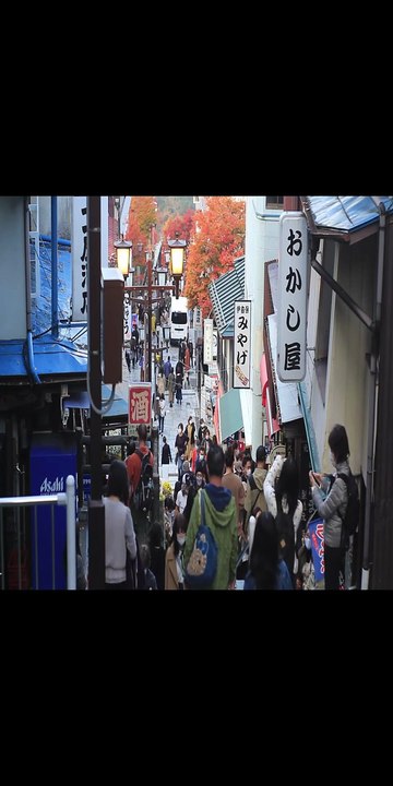 全球奇异事件-日本人的升天圣地（青木原森林）