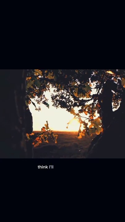 Shorts video