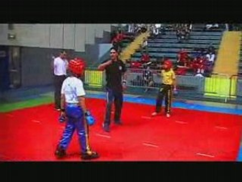 French Trophy 2008 / Tournoi Semi contact jeunes