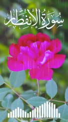 082_Surah Al-Infitar | سورة الإنفطار | Beautiful Recitation | Quran Tilawat | Anwaar ul Quran