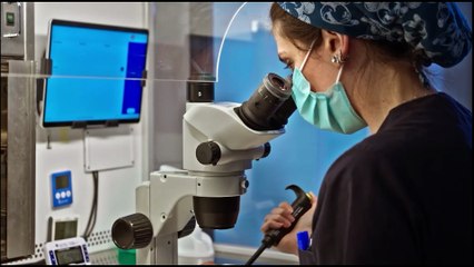 Tüp bebek öncesi bilmeniz gerekenler: Uzmandan altın değerinde uyarılar!