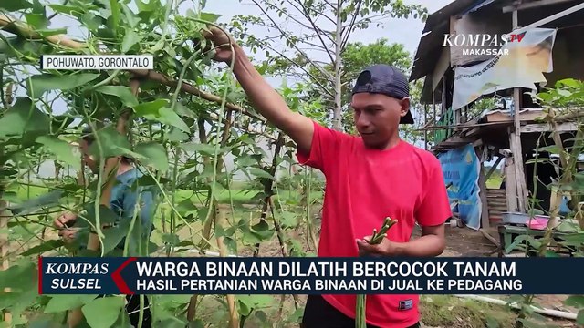 Warga Binaan Dilatih Bercocok Tanam, Hasil Pertanian Warga Binaan Di Jual Ke Pedagang