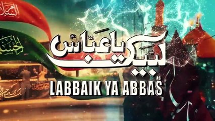 Labbaik Ya Abbas 💔 | Ali Jee Noha 2025 | Muharram 1447 | Emotional Noha for Alamdar a.s.
