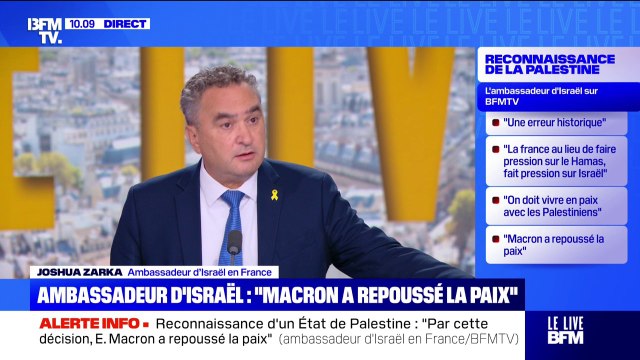 Famine à Gaza: l'ambassadeur d'Israël en France assure que ce n'est pas Israël qui bloque les camions d'aide humanitaire