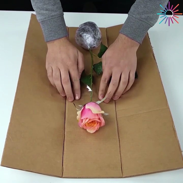 Genius everyday hacks you should check!