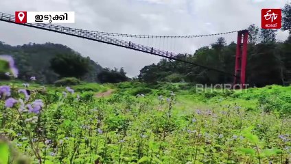 ഋതുഭേദങ്ങൾക്കപ്പുറം സൗന്ദര്യത്തിന്‍റെ കുപ്പായം മാറിമാറി അണിയുന്ന അയ്യപ്പൻകോവിൽ തൂക്കുപാലം; ഇത് ഇടുക്കിയുടെ വിസ്‌മയ കാഴ്ച