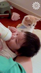 Nothing more adorable than babies and kittens!