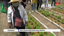 RM3.6 bilion tarik minat belia bertani