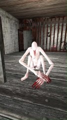 Scp-096 Granny 3
