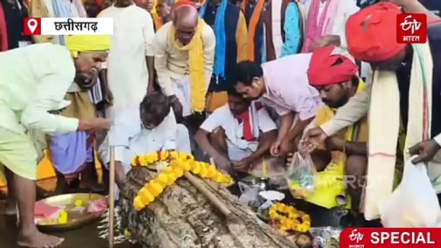 बस्तर दशहरा की पहली रस्म पूरी, पाठ जात्रा में रथ के लिए हुई लकड़ी की पूजा