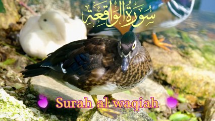👏🧠Best Surah Waqiah Recitation | Powerful for Rizq | سورة الواقعة👏🧠