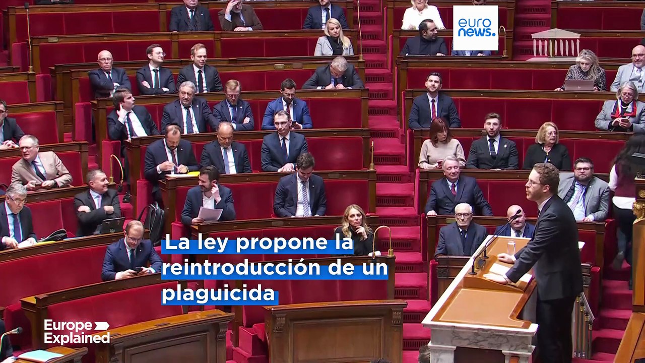 Últimas noticias | 25 julio - Mediodía