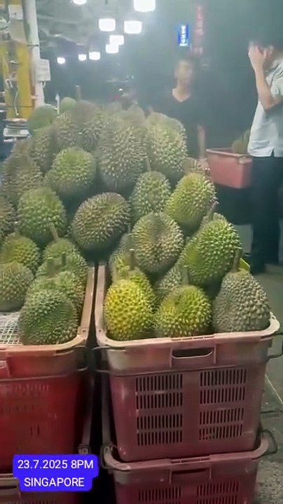 படத்தில் ராஜா பழம் டுரியான் பழம் என்று சொல்லுவார்கள் சிங்கப்பூர் மலேசியா இந்தோனேசியா தாய்லாந்து இந்த ஊரில் மிகப் பிரபலம் இந்த  பழம்  இந்த நாட்டில் இதுக்கு பெயர் டுரியான் பழம் மிக மிக சுவையாக இருக்கும் சிங்கப்பூர் வந்தால்