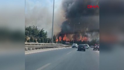 İzmir'de yeniden orman yangını başladı
