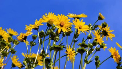 বাংলা চটি গল্প ।। #গল্প 02