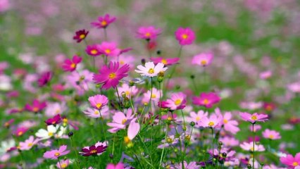 বাংলা চটি গল্প।।#গল্প 12