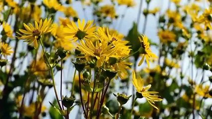 বাংলা চটি গল্প।।#গল্প 13